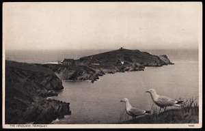 The Headland Seagulls Newquay Cornwall Postcard - Picture 1 of 2
