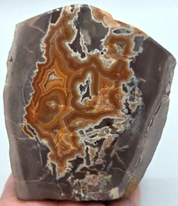 +++ DRYHEAD AGATE TILLETT RANCH, PRYOR MOUNTAIN, CARBON COUNTY, MONTANA +++ - Picture 1 of 9
