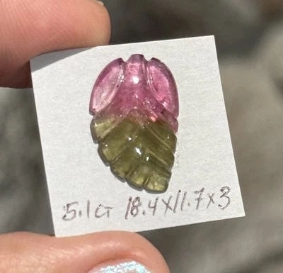 5.1ct 18.4x11.7x3mm Large Carved Watermelon Tourmaline Leaf Cabochon Gem - Image 1 of 4