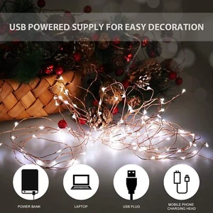 USB Powered 20/50/100 LED Copper Wire Fairy String Lights Party Decor 2M/5M/10M - Picture 1 of 24