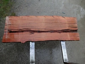 Red Box timber slab - Picture 1 of 4