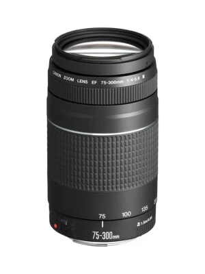 Canon EF 75-300mm f/4-5.6 III Telephoto Zoom Lens - Image 1 of 3