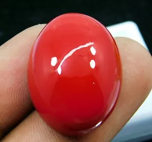 Piedras preciosas sueltas naturales de 45,60 quilates de coral rojo italiano corte cabujón AAA+ - Imagen 1 de 6