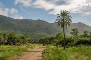 Impresión de póster fotográfico de San Juan Bautista Valley Isla Margarita Palm Road Mountain - Imagen 1 de 1