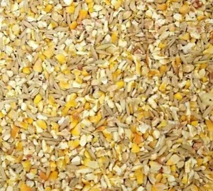 Granos rayados premium alimentación para aves maíz girasol trigo avena cebada milo y mijo - Imagen 1 de 2