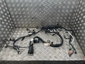 LDV Maxus Deliver 9 V90 RWD 2020-On Engine Wiring Loom C00095484  A253 - Picture 1 of 19