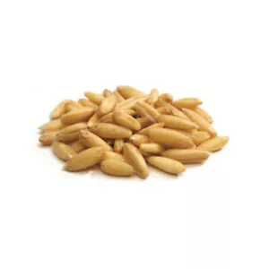 Bonus Semi di Avena Decorticata 1KG Mangime per uccelli (Sementi Dotto) - Foto 1 di 1