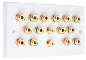 Audio Speaker AV 7.2 Wall Face Plate 14 Terminal Binding Posts + 2 RCA's - Picture 1 of 18
