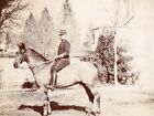 France? Thoroughbred? Horse Military Rider Equitation Old Photo 1900