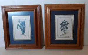 Set of 2 A. Renee Dollar Matted Framed Floral Watercolor Prints Signed - Picture 1 of 4