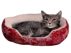 Vibrant Life Cuddler Pet Bed Small - Red Snowflake Bed -Cushion Is 19" Dog & Cat - Picture 1 of 2