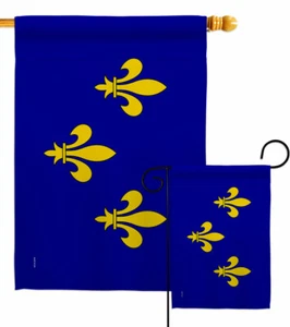 Bandera decorativa de jardín de las regiones regionales de la isla de Francia bandera de jardín bandera casa - Imagen 1 de 19