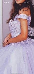 Quinceanera / Sweet 16 Dress - Picture 1 of 2
