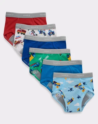 Hanes Potty Trainer Briefs 6-Pack Toddler Boy Moisture Wicking sz 2/3 4 Assorted - Image 1 of 4
