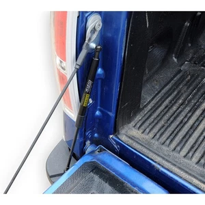 DZ43204 Dee Zee Tailgate Assist for F150 Truck Ford F-150 2015-2022 - Picture 1 of 3