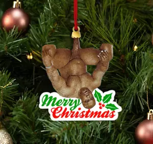 Barry Xmas Ornament, Meme Christmas Ornaments, Gag Ornament,Funny Christmas Gift - Picture 1 of 1