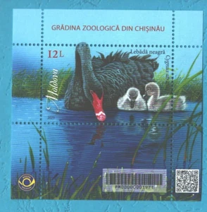 2023 Moldawien Chisinau Zoo, Tiere, Vögel, Vögel, schwarzer Schwan, s/s, MNH - Bild 1 von 1