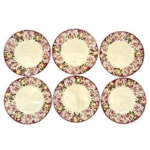 6er Set Royal Doulton Porzellan rot Pomeroy 8 1/2" Mittagessen Teller EUC kein Bild in der Mitte - Bild 1 von 4