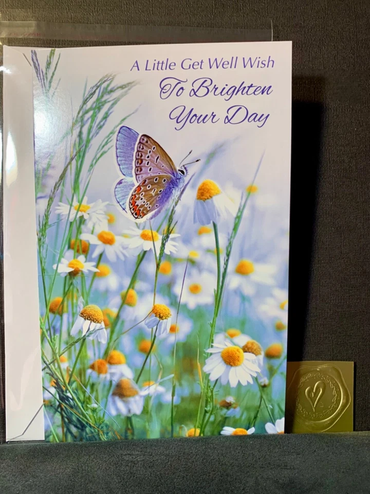 Get Well Soon Greeting Card To Brighten Your Day Butterfly and Daisies - Image 1 of 2