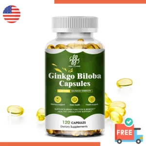 120 Pills Ginkgo Biloba Capsules 500MG Memory Brain Health Support Antioxidant - Picture 1 of 7