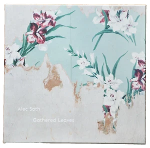 SIGNED - ALEC SOTH GATHERED LEAVES 2015 1ST ED sleeping mississippi looking love - Picture 1 of 2