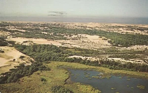 LUFTAUFNAHME DER SANDDÜNEN, DAS AUSSENKAP, MASSE.VTG POSTKARTE*P79 - Bild 1 von 2