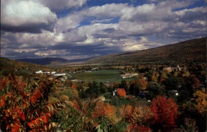 Naples,NY Naples Valley Bird's Eye View Ontario County New York Postcard - Picture 1 of 2
