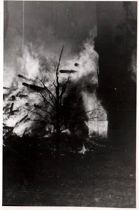 WWII Photo Destroyed Buildings Copenhagen Denmark Small Size 9x6cm World War 2 - Picture 1 of 2
