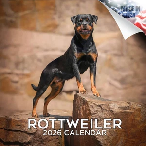 ROTTWEILER Wall Calendar 2026 Animal DOG PET Lover Gift - Picture 1 of 2