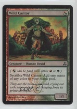 2006 Magic: The Gathering - Guildpact Foil Wild Cantor #149 01i5
