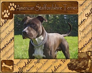 American Staffordshire Terrier Lasergravur Holz Bilderrahmen (5 x 7) - Bild 1 von 2
