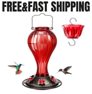 Glass Hummingbird Feeder 24 Ounces, 6 Feeding Ports, Hanging, Red - Picture 1 of 6