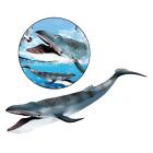Lebensechte PVC Schwimmende Blauwal Actionfiguren Sea Creature Model Miniature