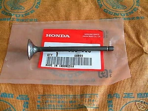 Honda CB 500 550 Quatre Soupape de Vidange Vanne Épuiser Original NOS - Picture 1 of 1