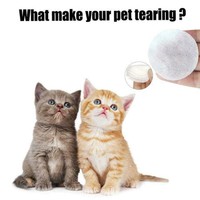 60 Ml Haustier Hund Katze Ohr Waschen öl Tropfen Pflege