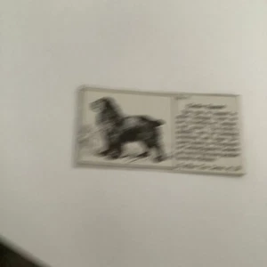 1955 Typhoo Tea Popular Breeds Of Dogs - #7 Cocker Spaniel UU - Picture 1 of 1