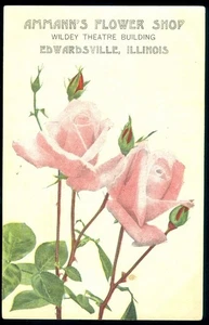 ADVERTISING CARD - AMMANN'S FLOWERS, EDWARDSVILLE, IL - Picture 1 of 1