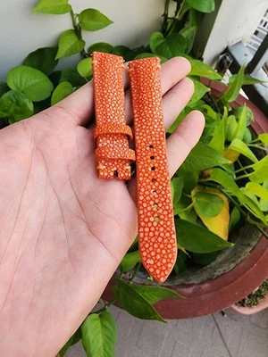 Orange Size 20/18mm Genuine Exotic Leather Skin Watch Strap Band- Quick Release — 第 1/4 张图片