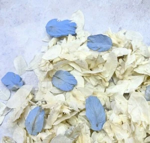 Biodegradable Wedding Confetti Blue & Ivory Petals, Dried Flower Throwing Petals - Picture 1 of 2