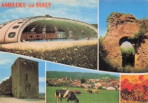 01-AMBERIEU EN BUGEY-PISCINE TOURNESOL-N�7001-B/0369 - Picture 1 of 2