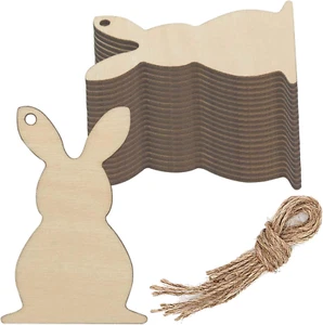 20Pcs Bunny Wood DIY Crafts Cutouts Wooden Rabbit Shaped Hanging Ornaments with - Picture 1 of 7