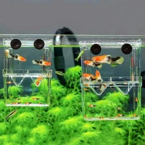 Aquarium Fish Breeding Box Shrimp Hatchery Fish Tank Isolation Incubator Breeder - Picture 1 of 7