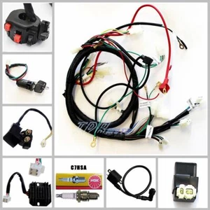 CHINESE GY6 150CC ATV QUAD WIRE HARNESS WIRING ASSEMBLY Wire Loom Harness CDI - Picture 1 of 12