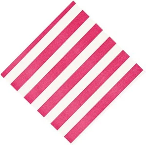 Hot Pink Stripe Solid Color Garden Birthday Party Paper Beverage Napkins - Picture 1 of 1