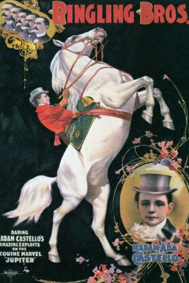 GRAN ESPECTÁCULO CABALLO BLANCO EQUINO MARVEL JÚPITER CIRCO CABALLOS DE COLECCIÓN PÓSTER REPRO Foto 1 de 3