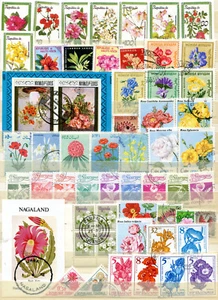 Sammlung Blumenmotive, meist o ( 40857 ) - Bild 1 von 1