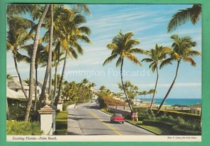 🌞PALM BEACH, FLORIDA: JOHN HINDE😊COMPRA 2 OBTÉN 1 GRATIS - Imagen 1 de 2
