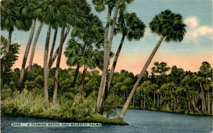 Vintage Postcard from New Bedford, Massachusetts - Picture 1 of 2