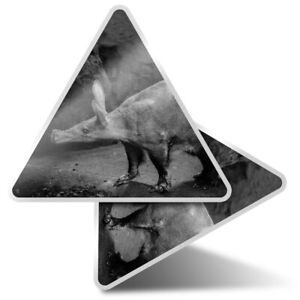 2 x Triangle Stickers  10cm - BW - Bald Aardvark African Animal  #35128