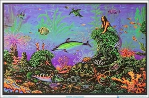 Octopus Garden by: Michael Fishel Blacklight Poster - Flocked - 35" x 23" - Picture 1 of 2